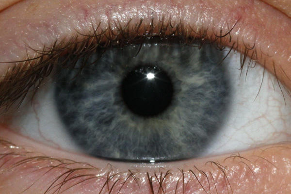 Can Refresh Tears Be Used With Contacts