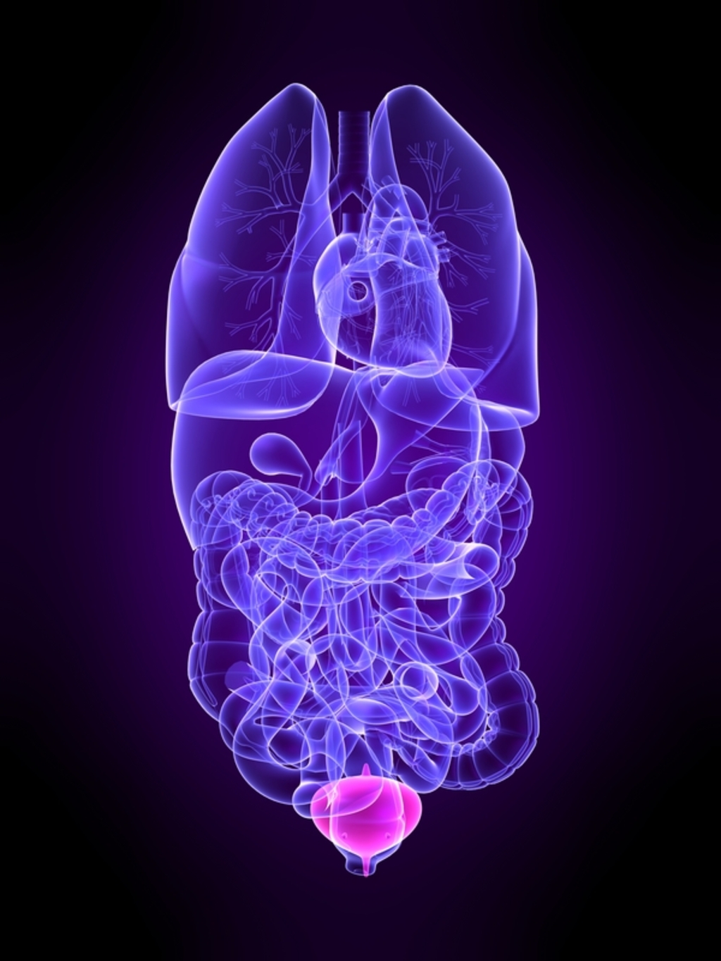 Urinary obstruction - Answers on HealthTap