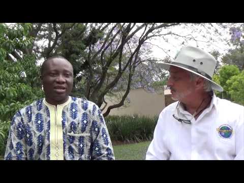 Malaria - MMS Testimonies
