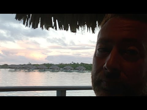 Dollar Viglante AMA from BORA BORA