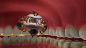 Vidéo - Pourquoi j'aime le sucré?