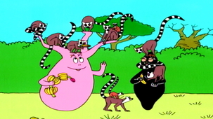 Vidéo - Madagascar, le baobab