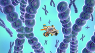 Vidéo - Pourquoi j'ai les yeux verts?