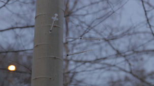 Vidéo - Les escaliers