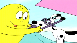 Vidéo - La mer rouge, récif de corail