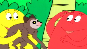 Vidéo - Madagascar, l'aye-aye