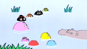 Vidéo - L'Afrique, les hippopotames