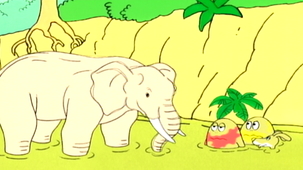 Vidéo - L'Afrique, les éléphants