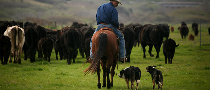 Our Posse