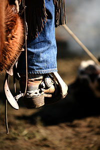 Our Posse - Cowboys 2