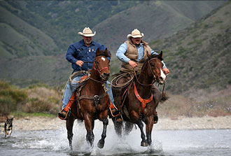Our Posse - Cowboys