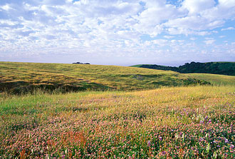 Hearst Ranch By Robert Glenn Ketchum Hearst Ranch By Robert Glenn Ketchum