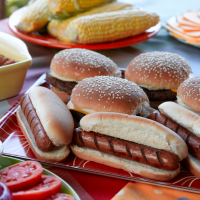 24 Burgers and 20 Hot Dogs