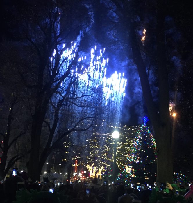 Thousands of Bostonians Attend Tree Lighting Ceremony The Heights