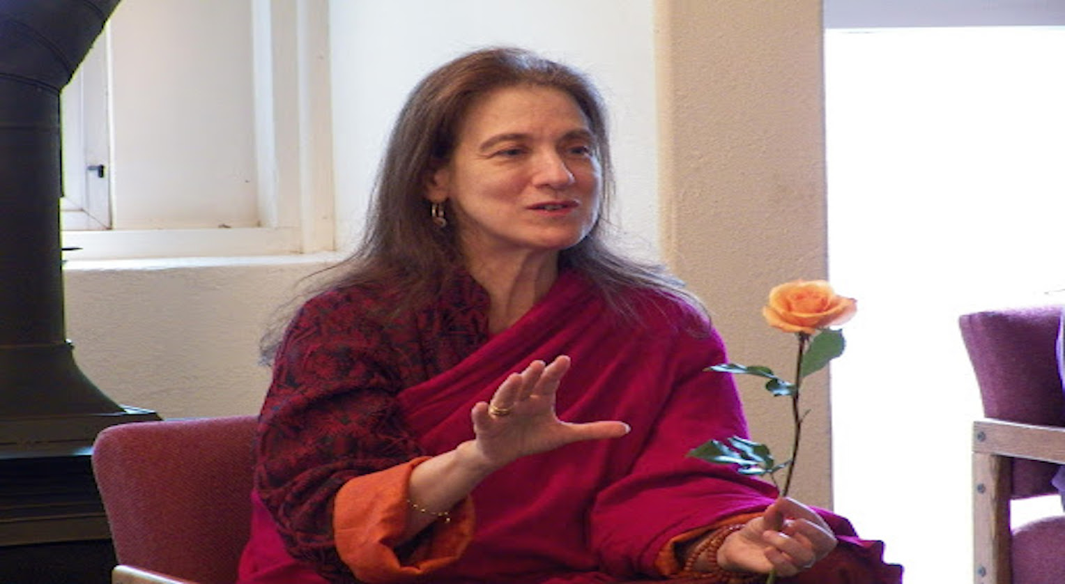 Klein Discusses Buddhism's Role in Everyday Life at McMullen Lecture - Vimarsana News