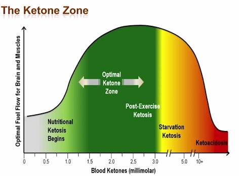 Best Time To Test Blood Sugar At Home Best Time To Test Blood Sugar At Home