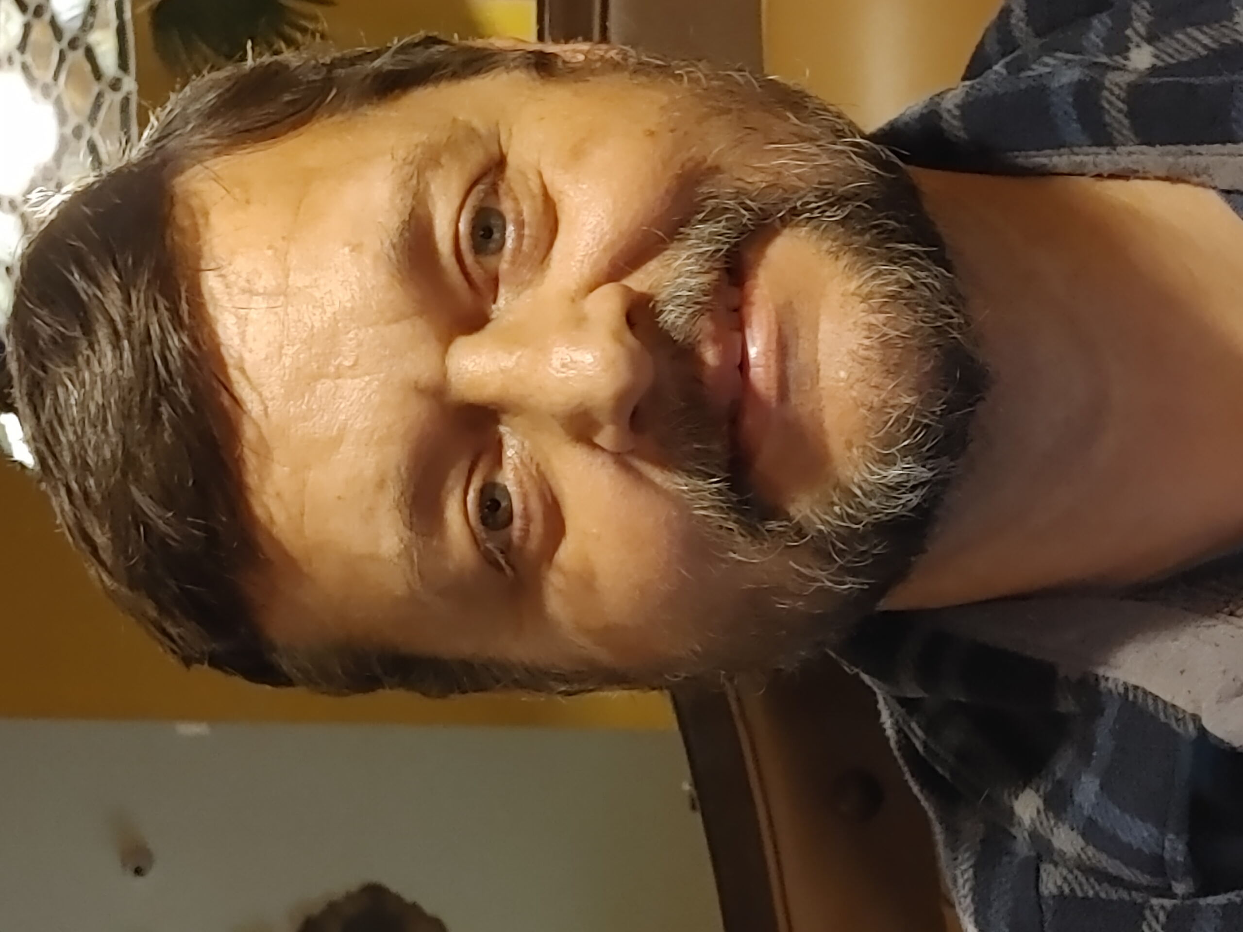 My Campaign Pictures