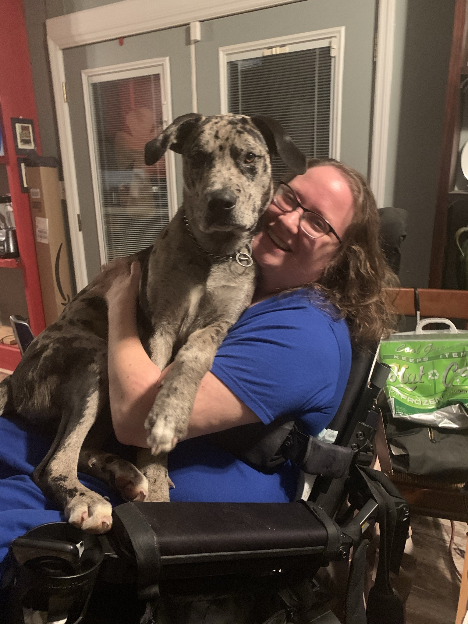 My Campaign Pictures