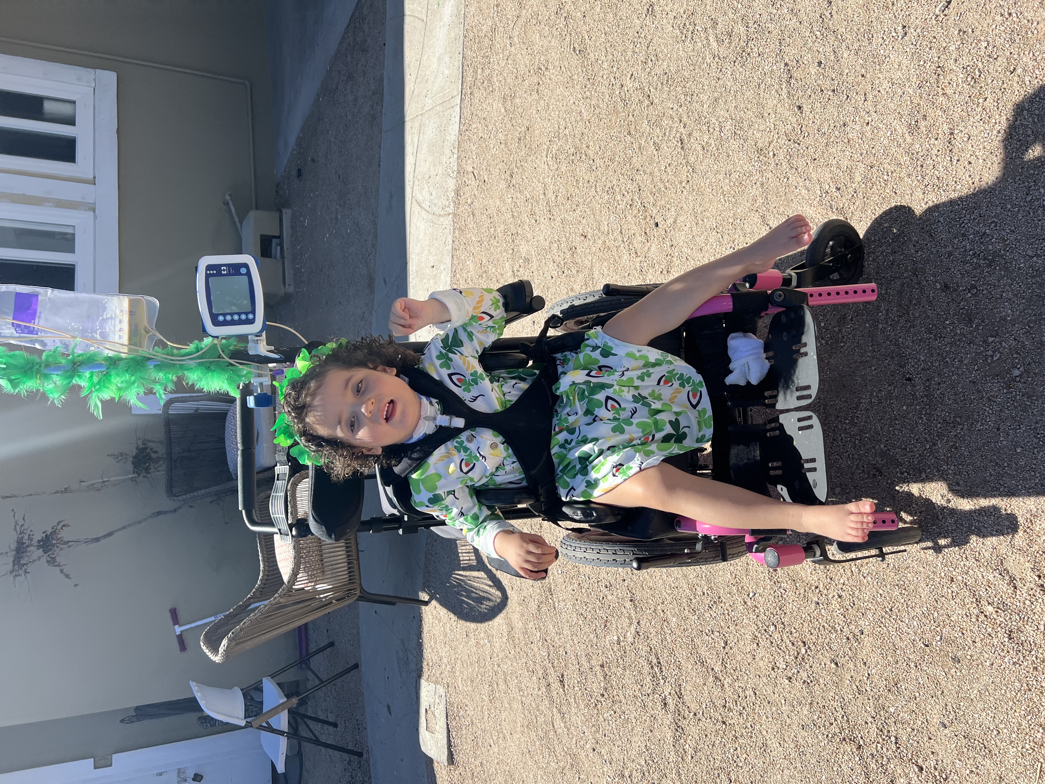 My Campaign Pictures