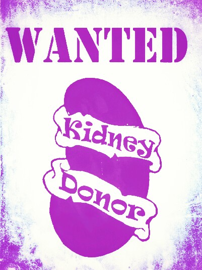 My Campaign Pictures