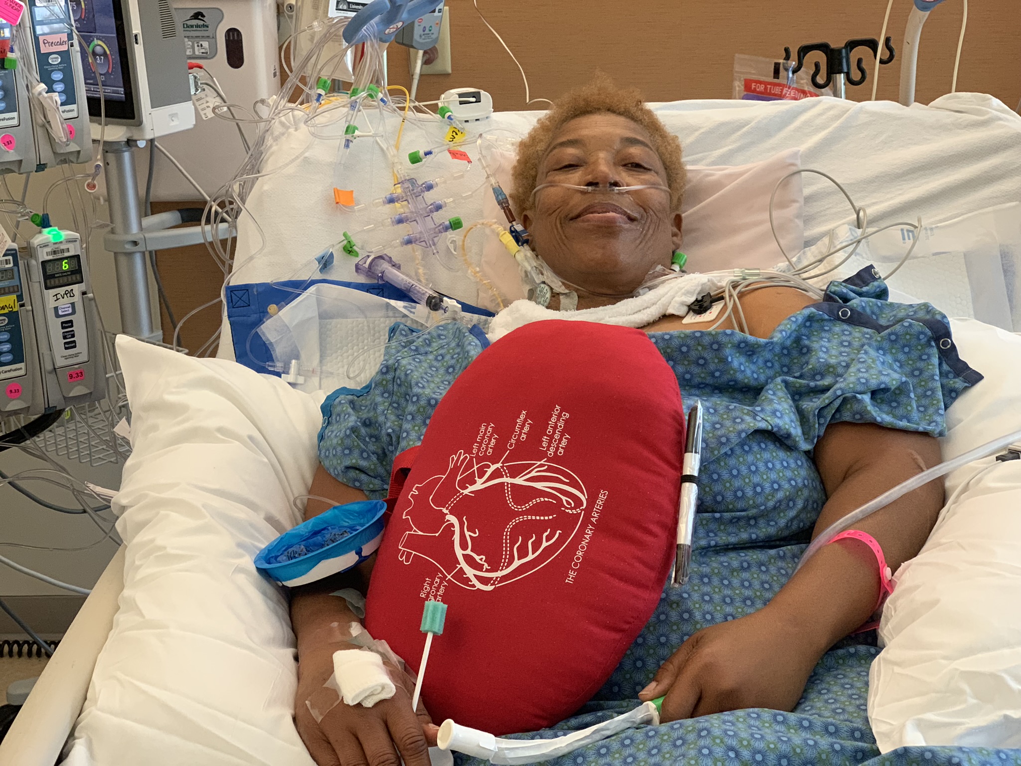 My Campaign Pictures