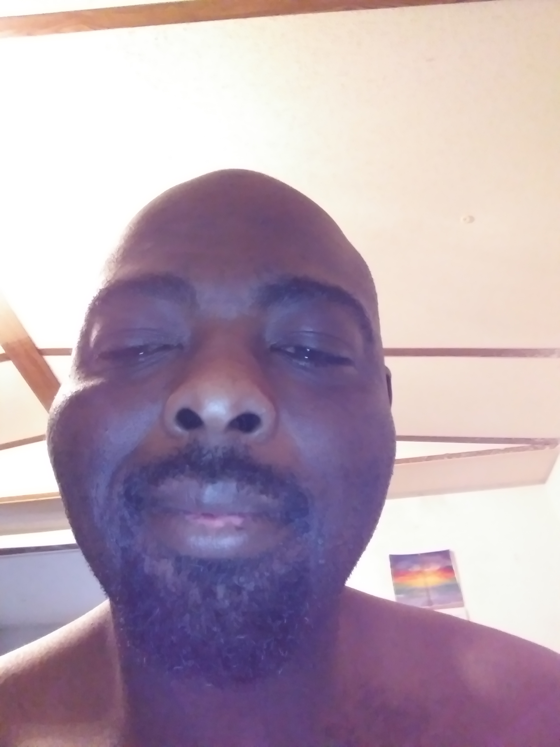 My Campaign Pictures