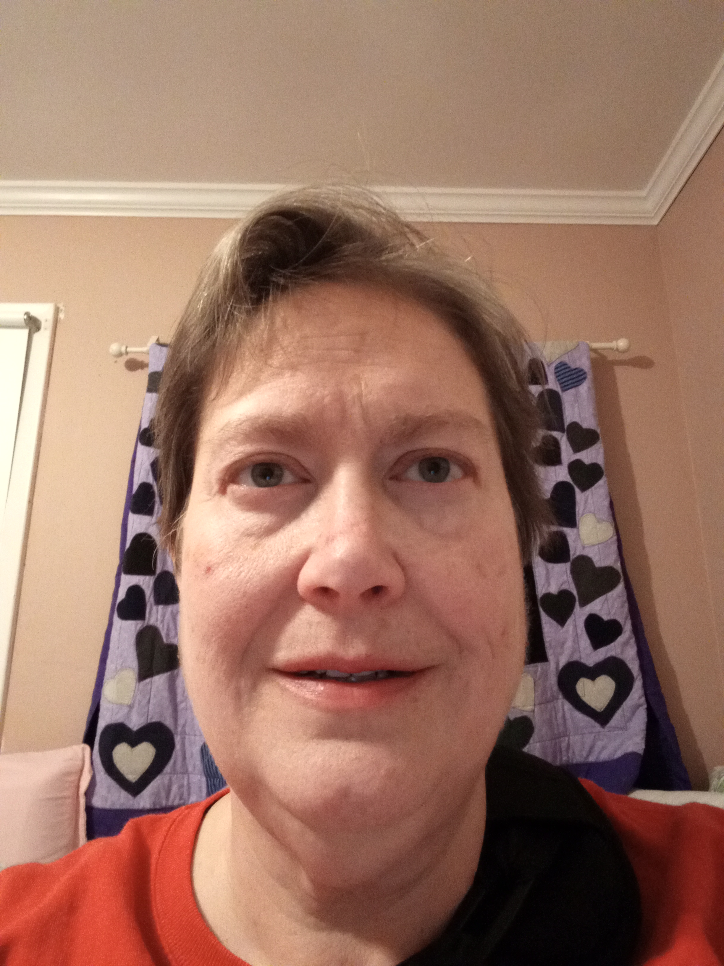 My Campaign Pictures