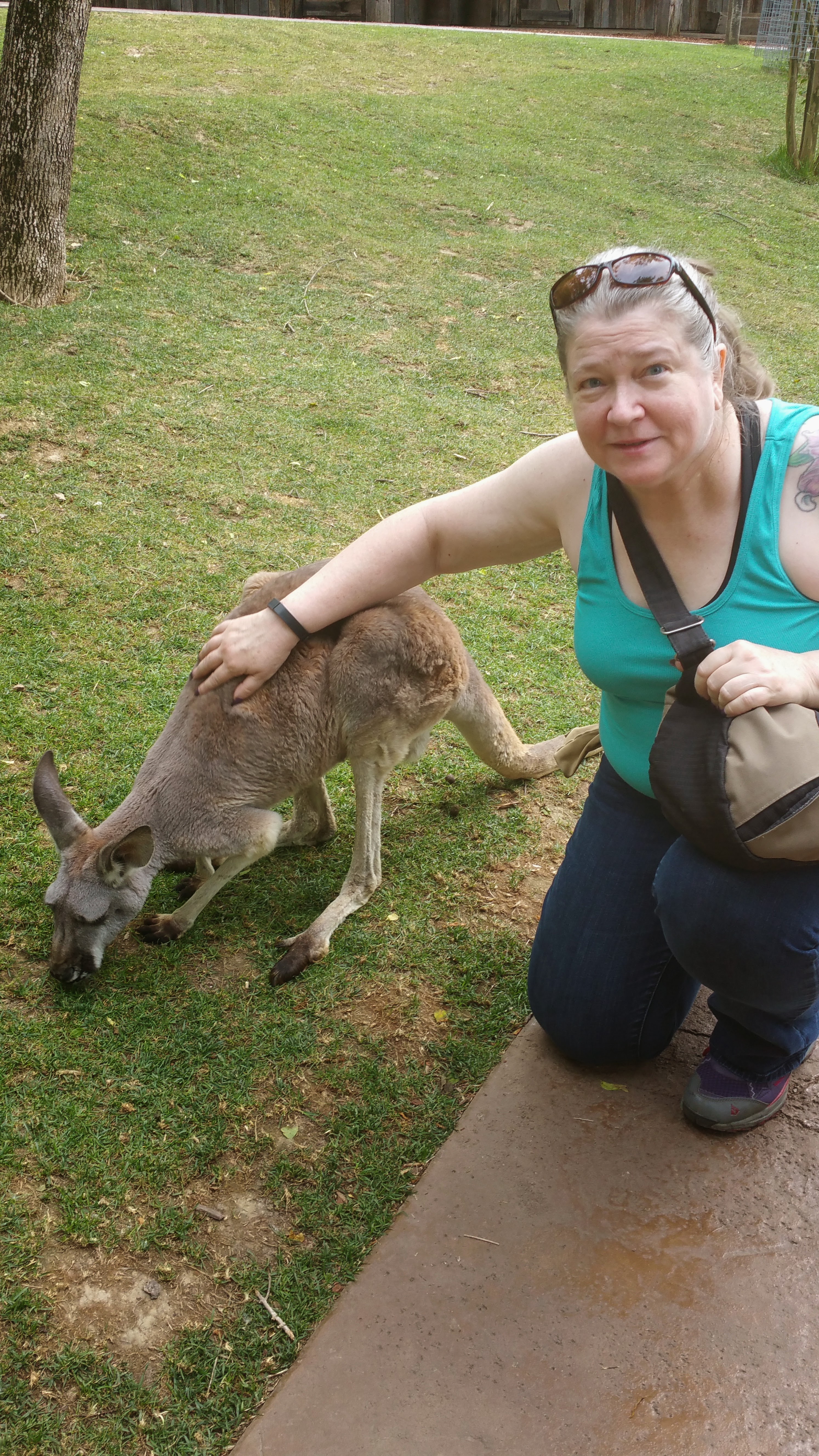 My Campaign Pictures