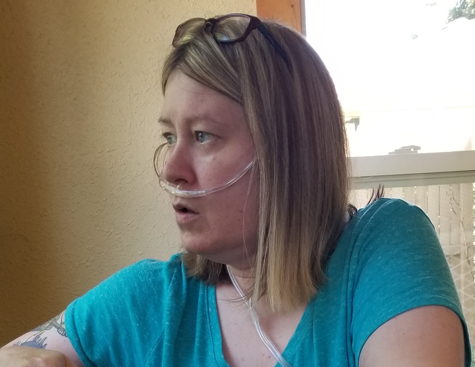 My Campaign Pictures