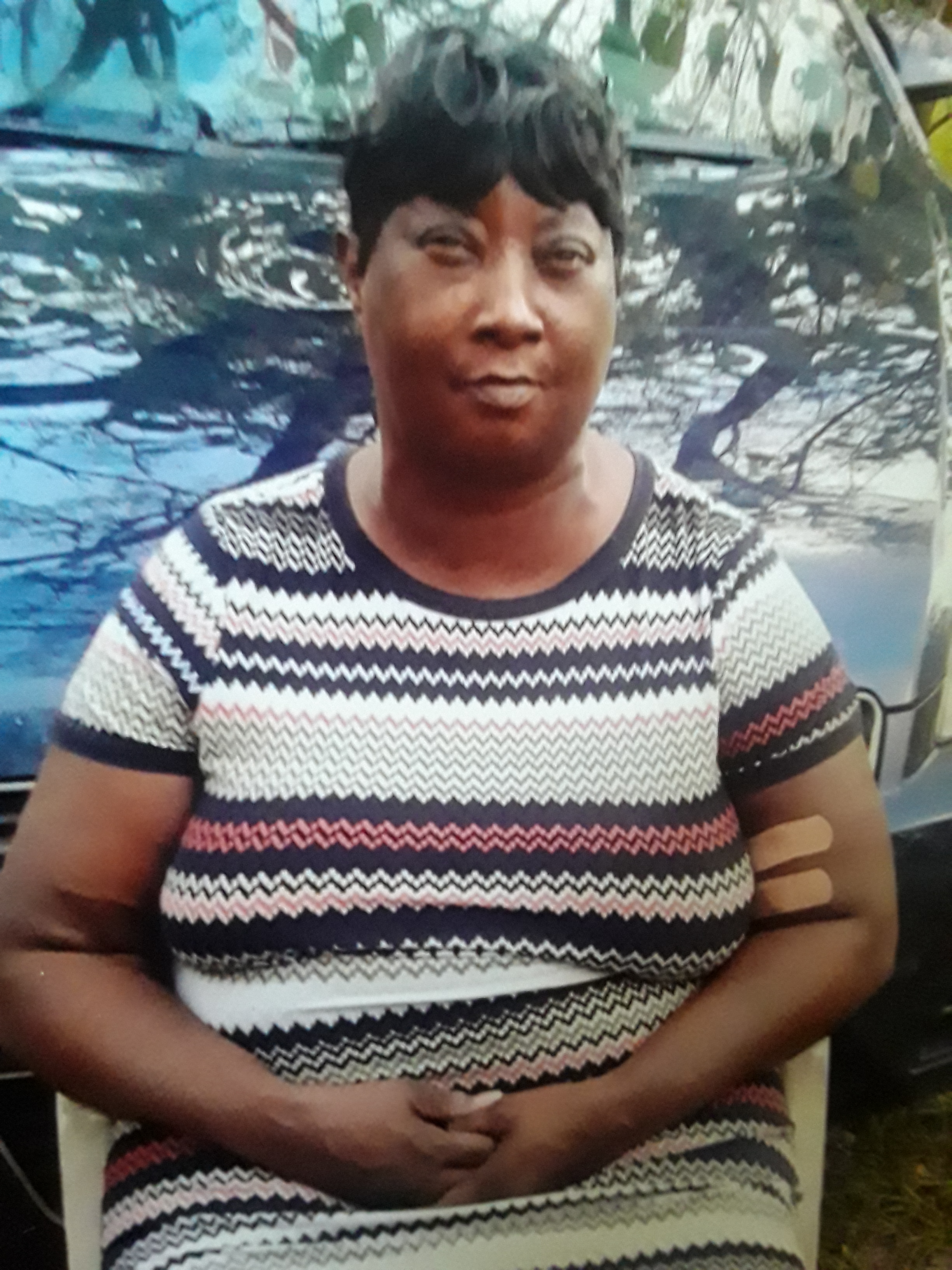 My Campaign Pictures