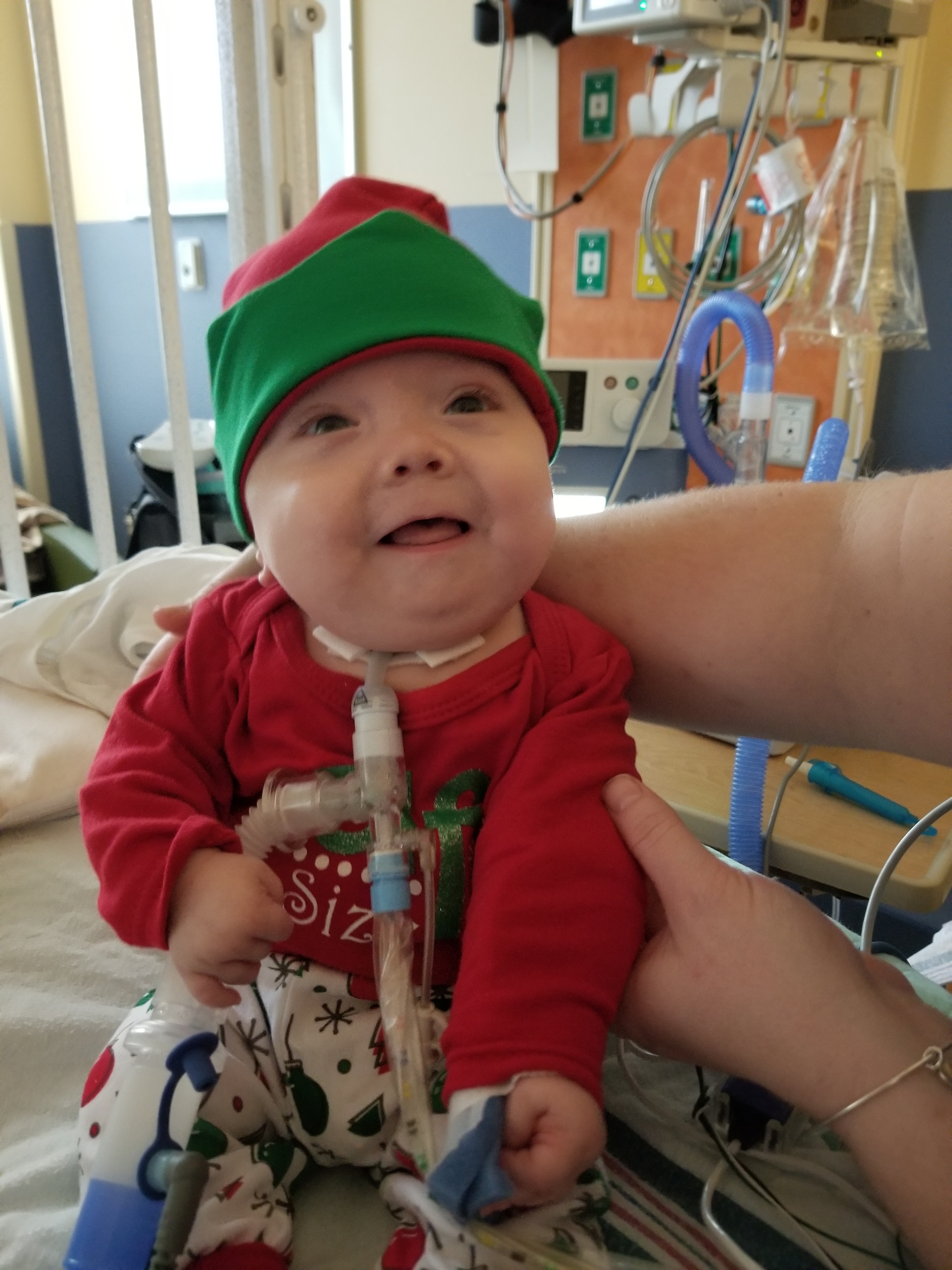 My Campaign Pictures