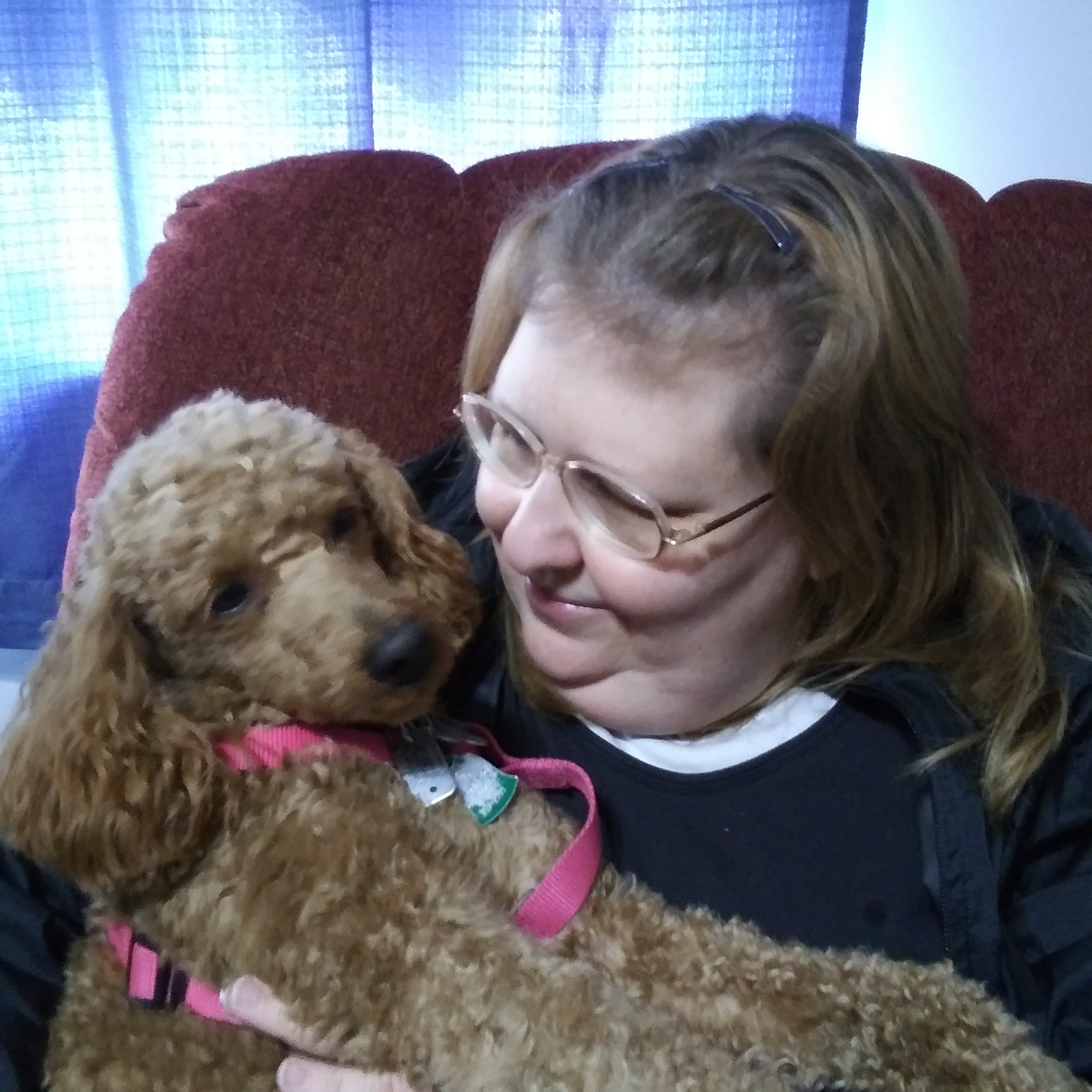 My Campaign Pictures