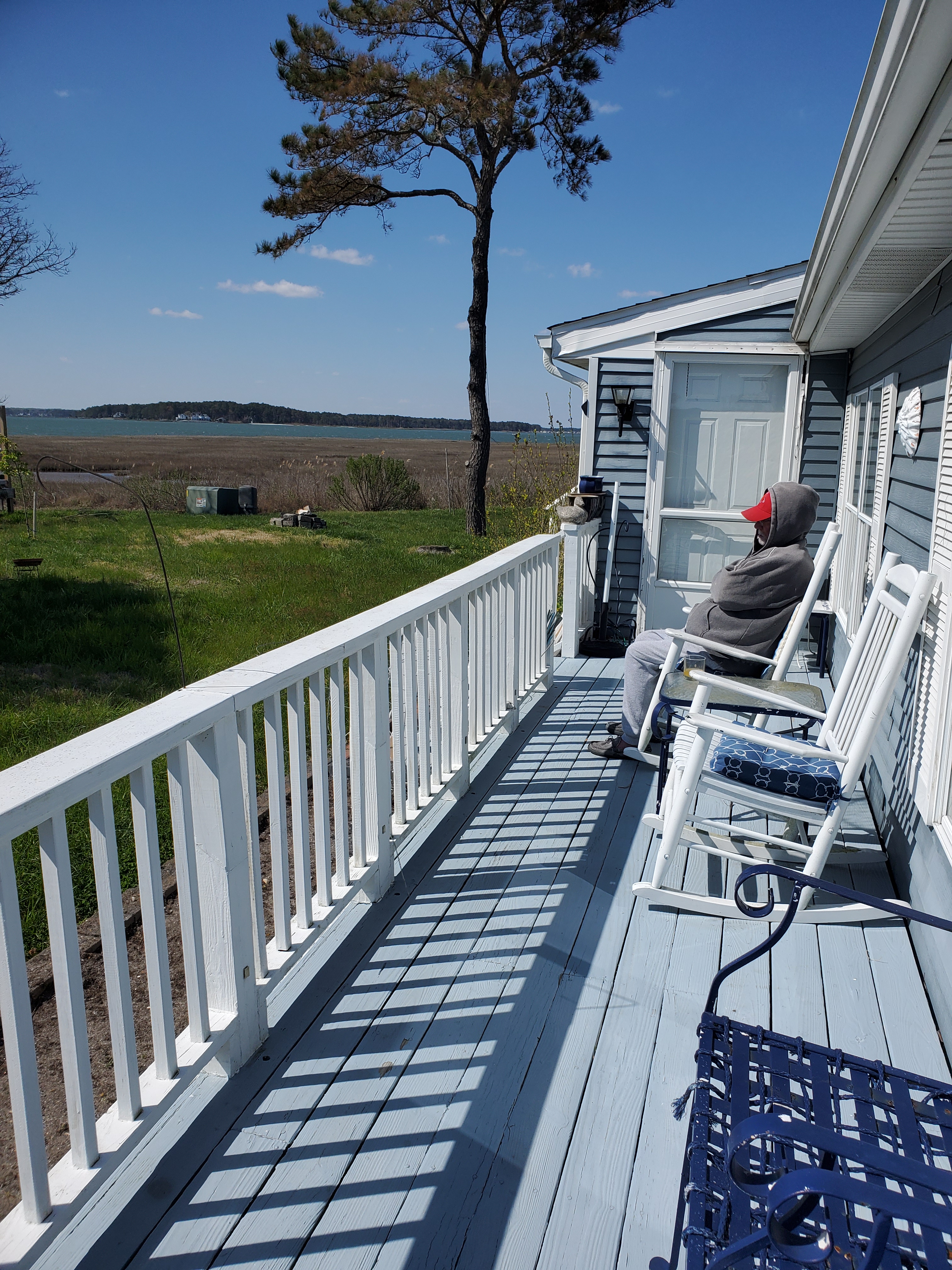 My Campaign Pictures