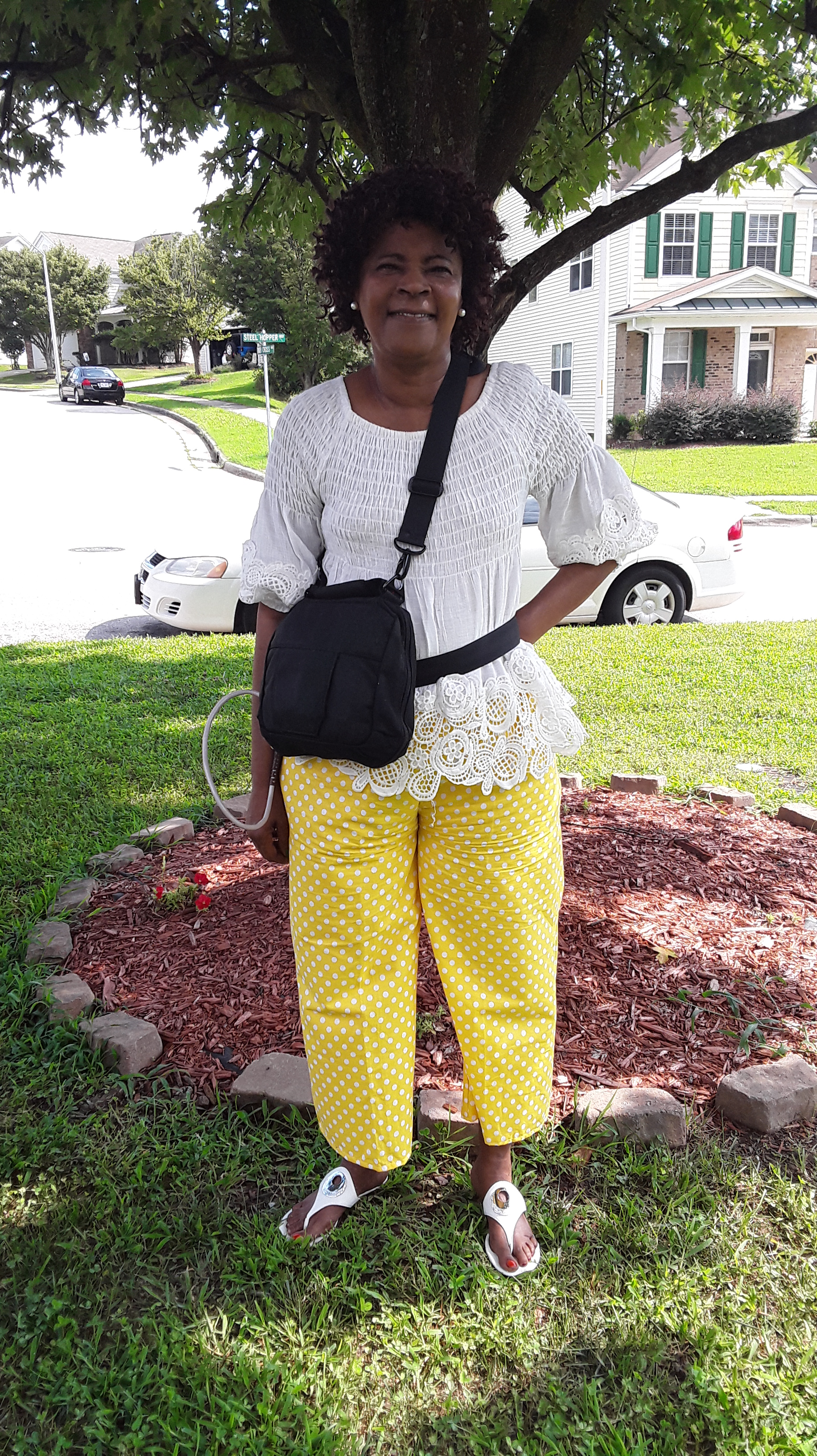 My Campaign Pictures