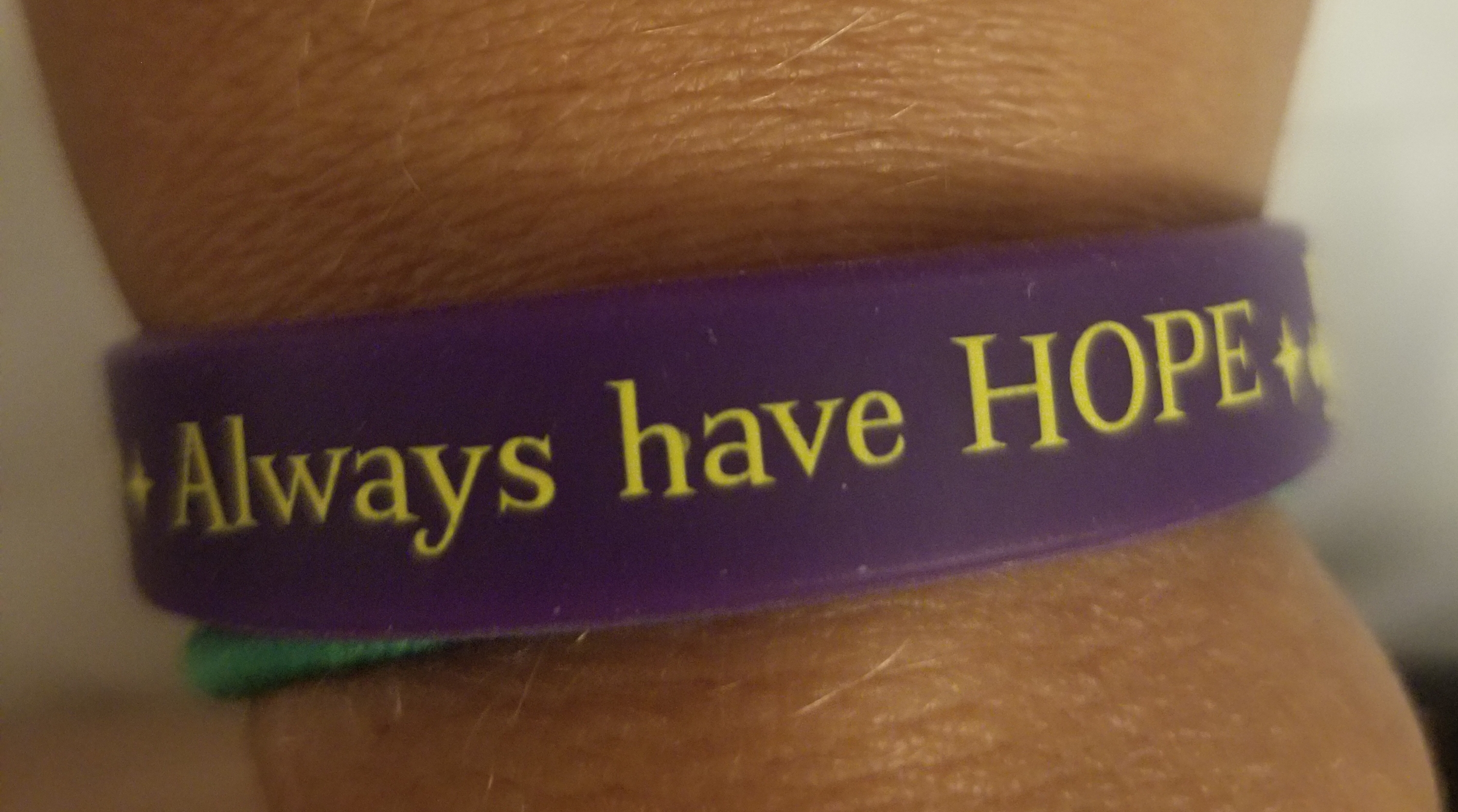 My Campaign Pictures