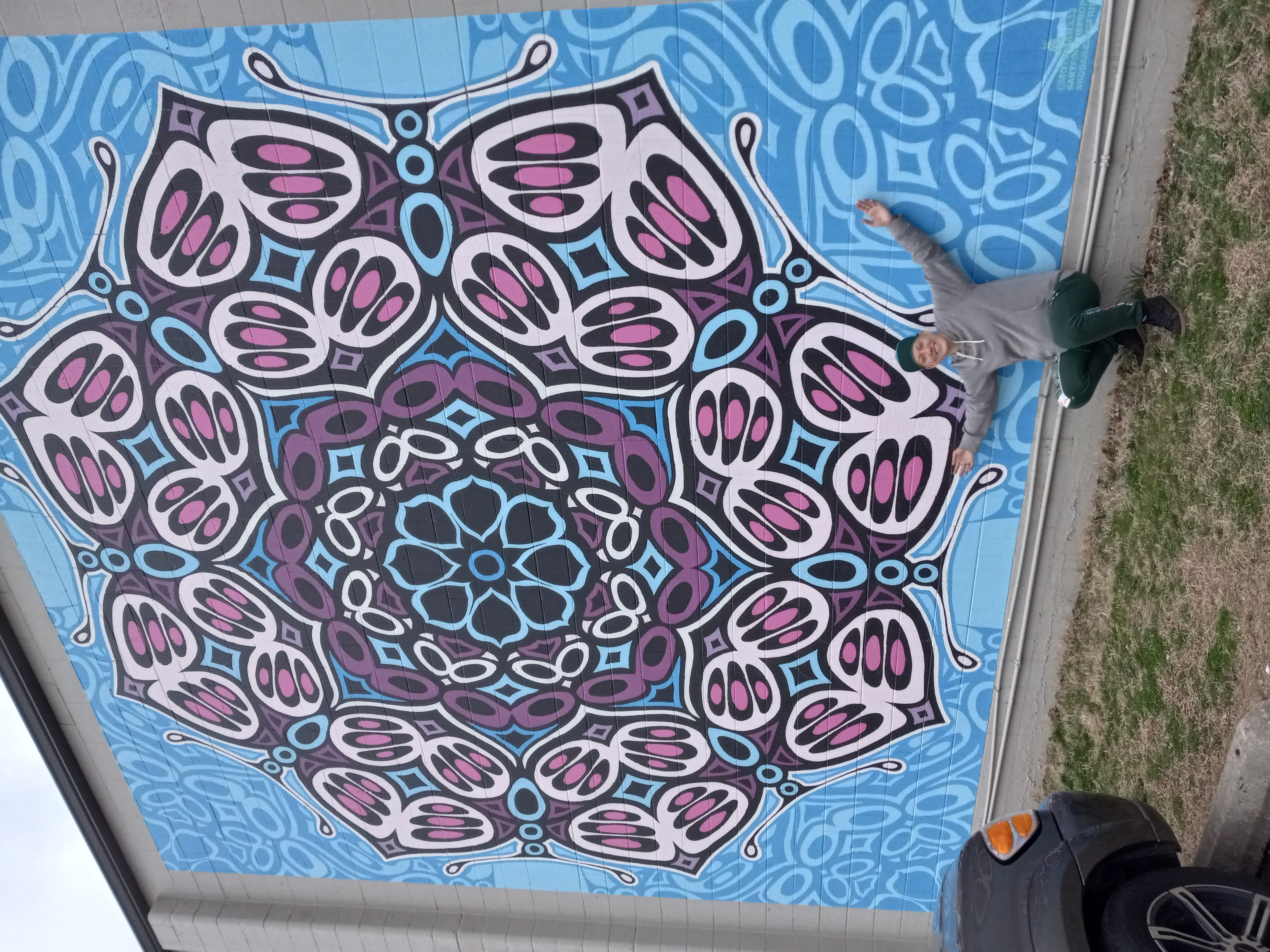 My Campaign Pictures