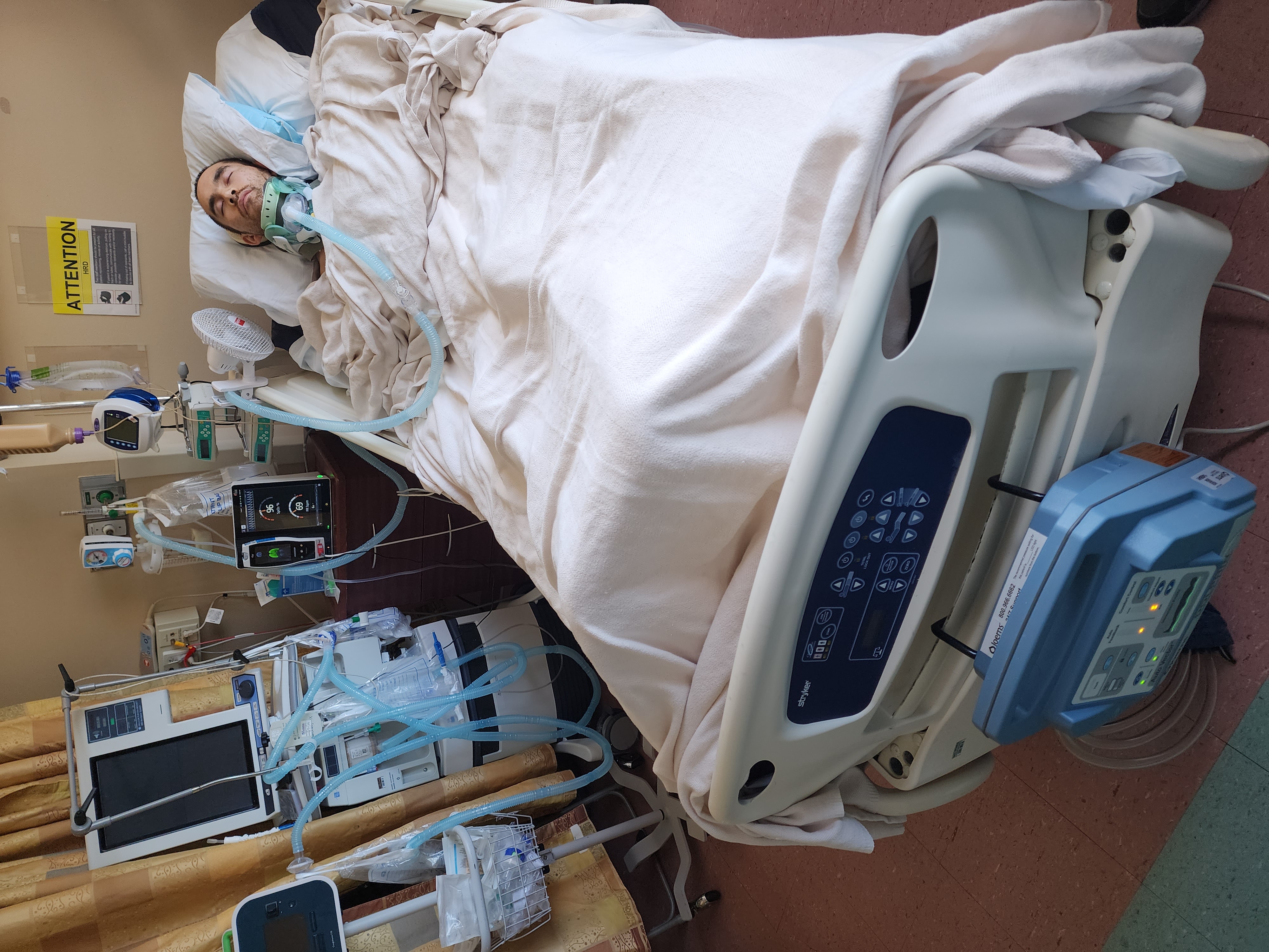 My Campaign Pictures