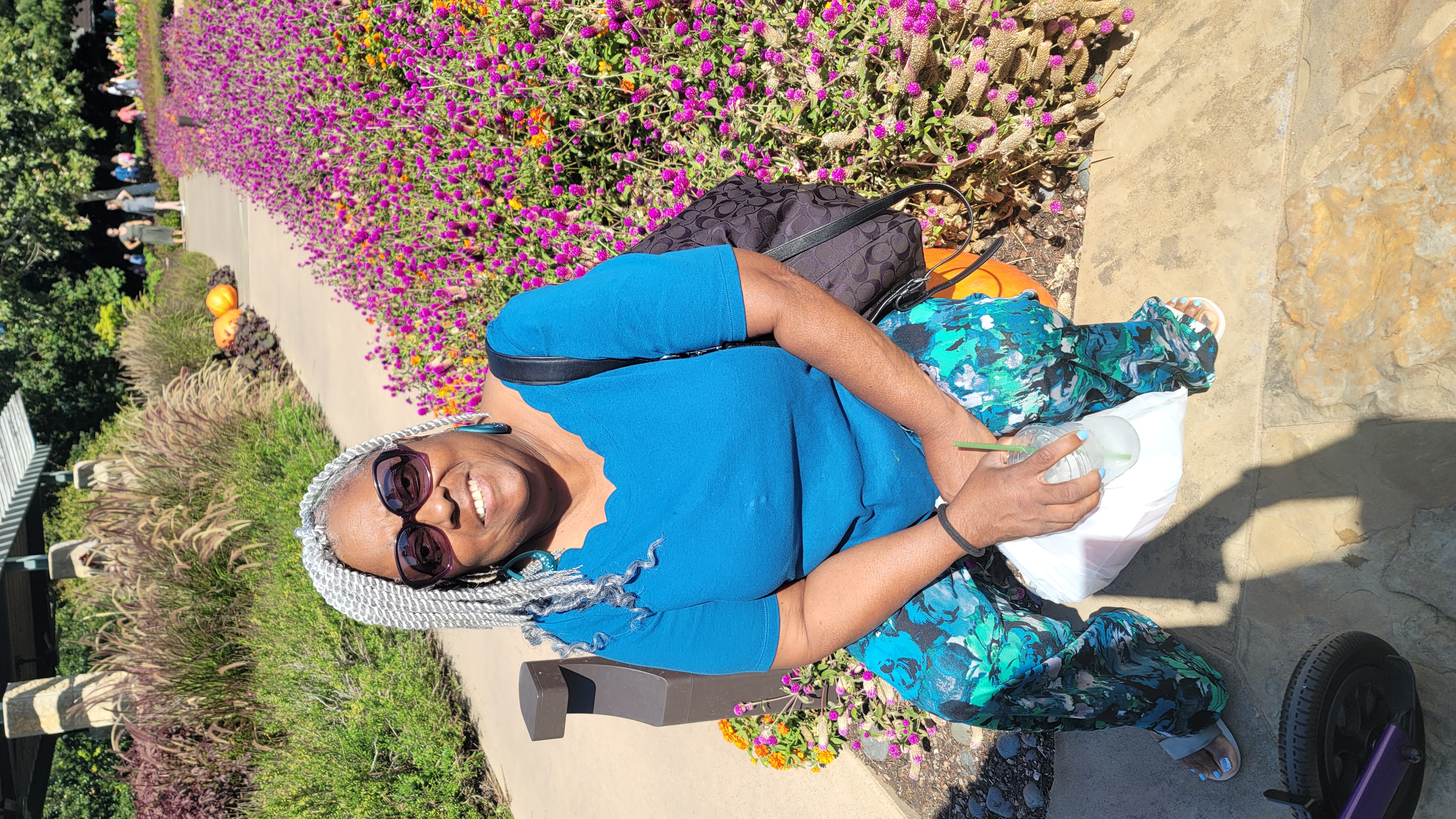 My Campaign Pictures