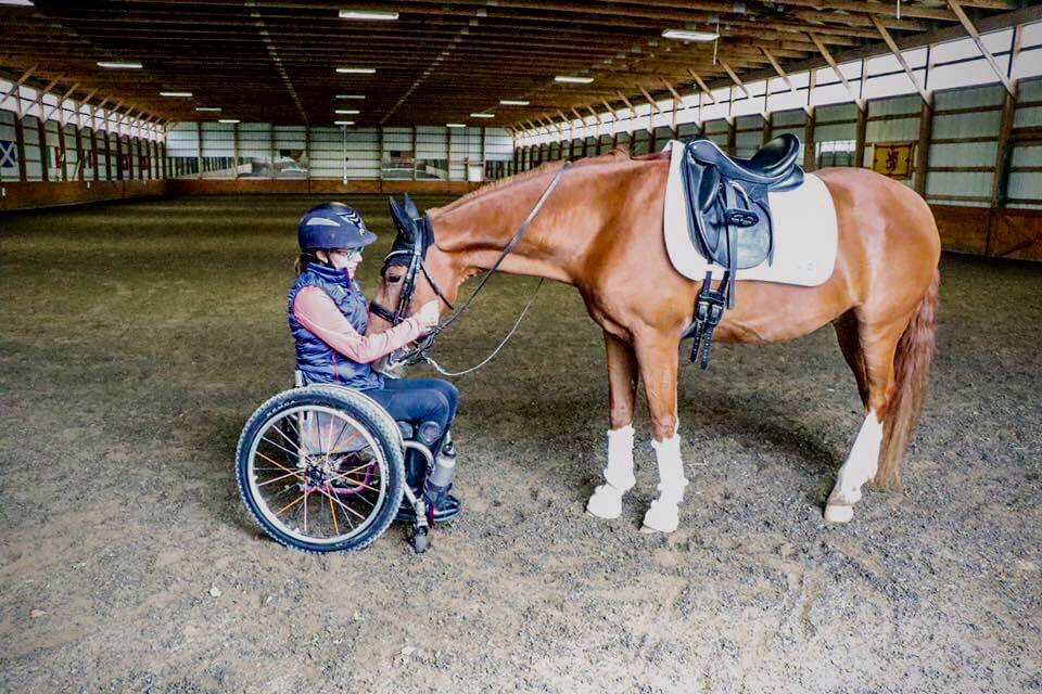 My Campaign Pictures