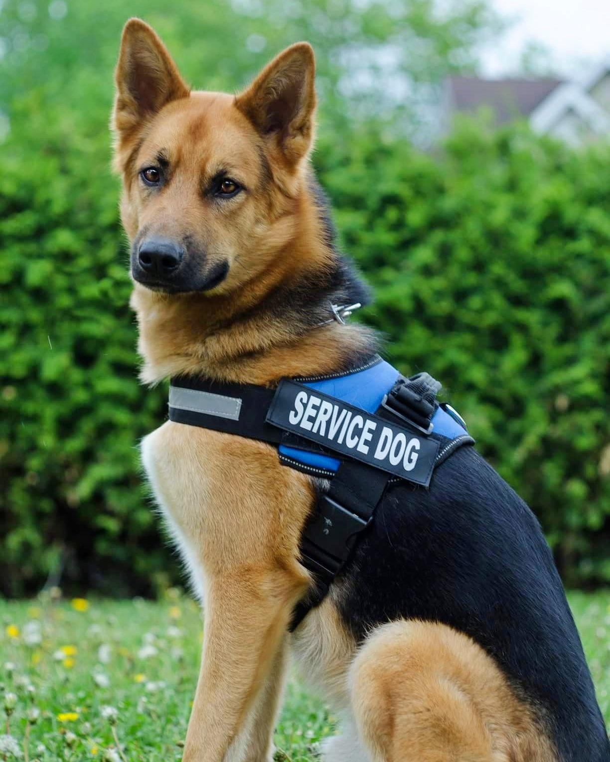 My Campaign Pictures