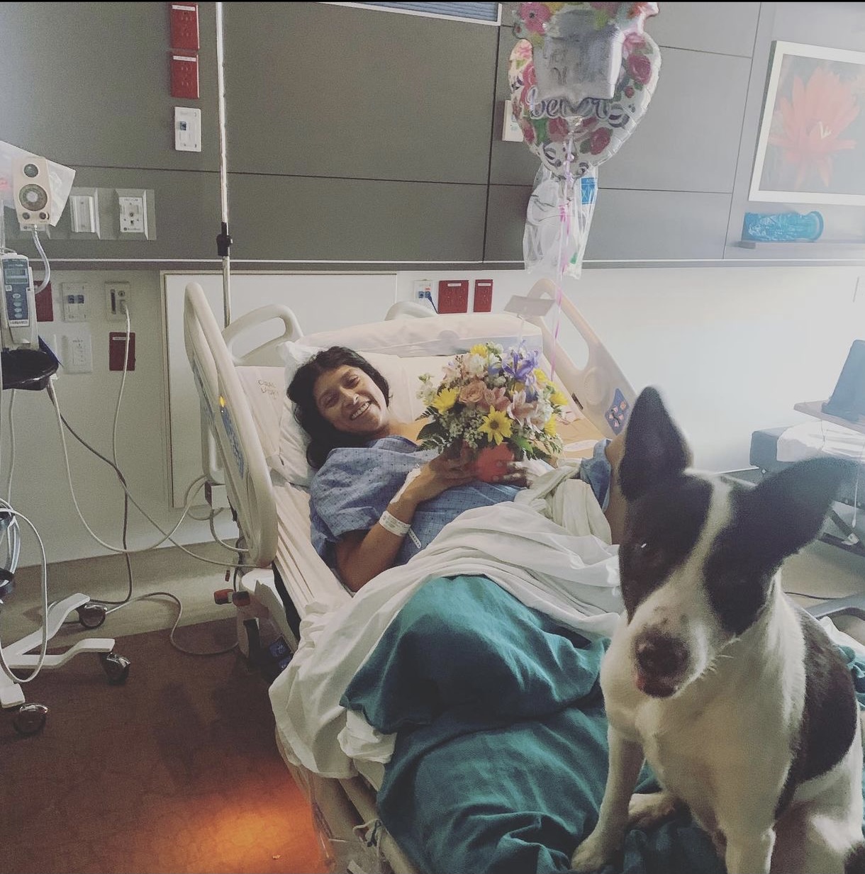 My Campaign Pictures