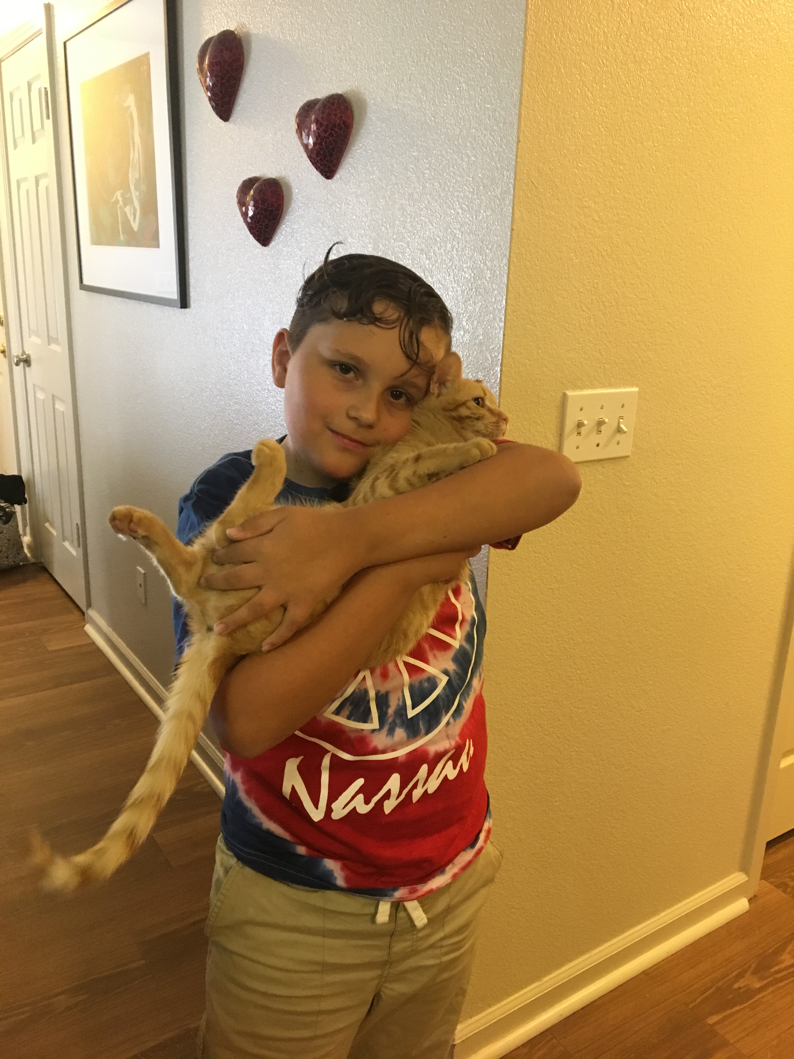 My Campaign Pictures