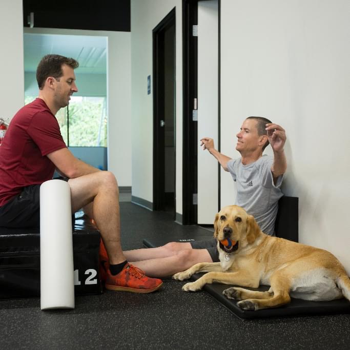 My Campaign Pictures