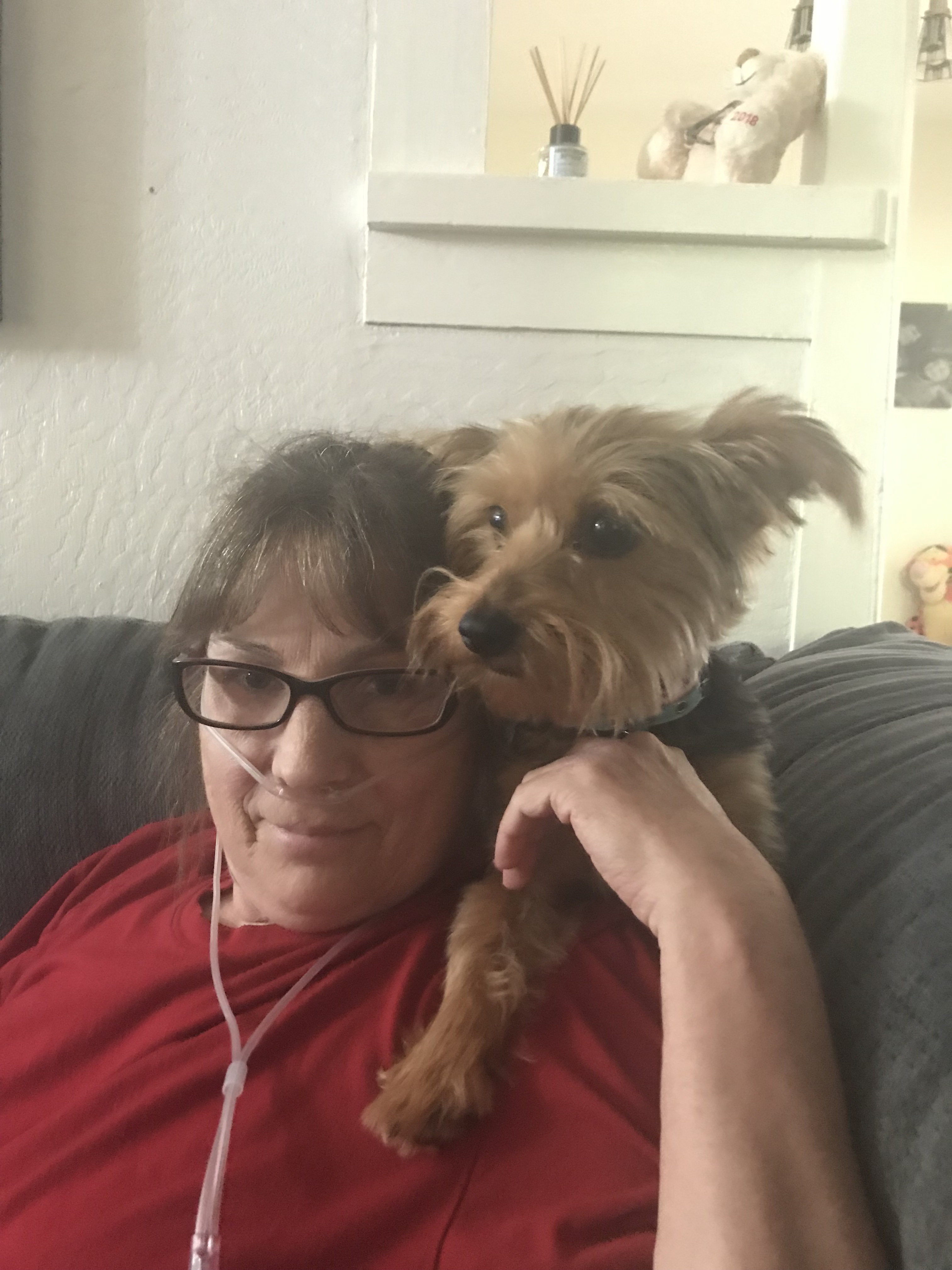 My Campaign Pictures