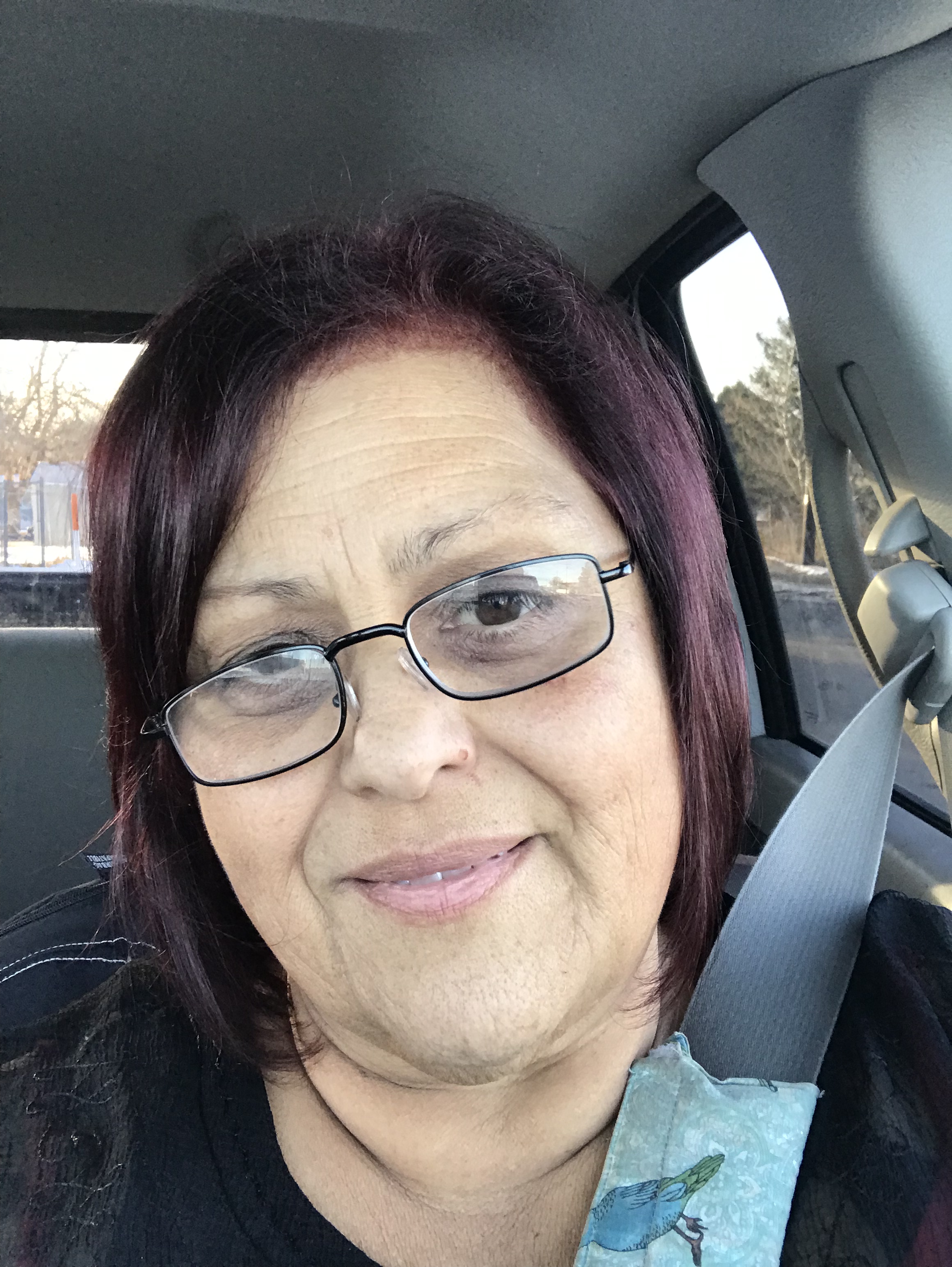 My Campaign Pictures