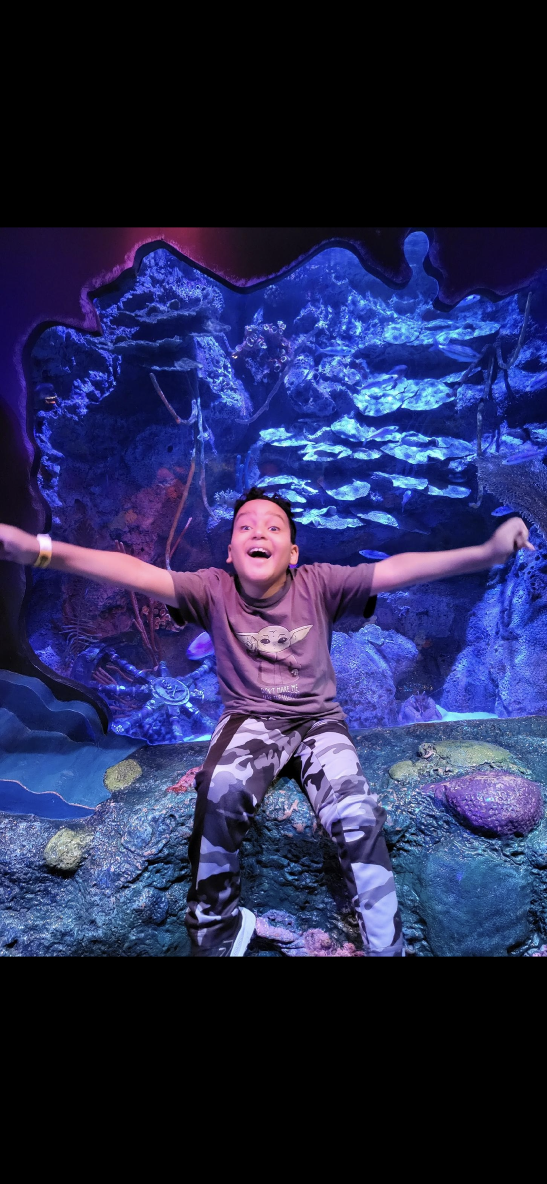 My Campaign Pictures