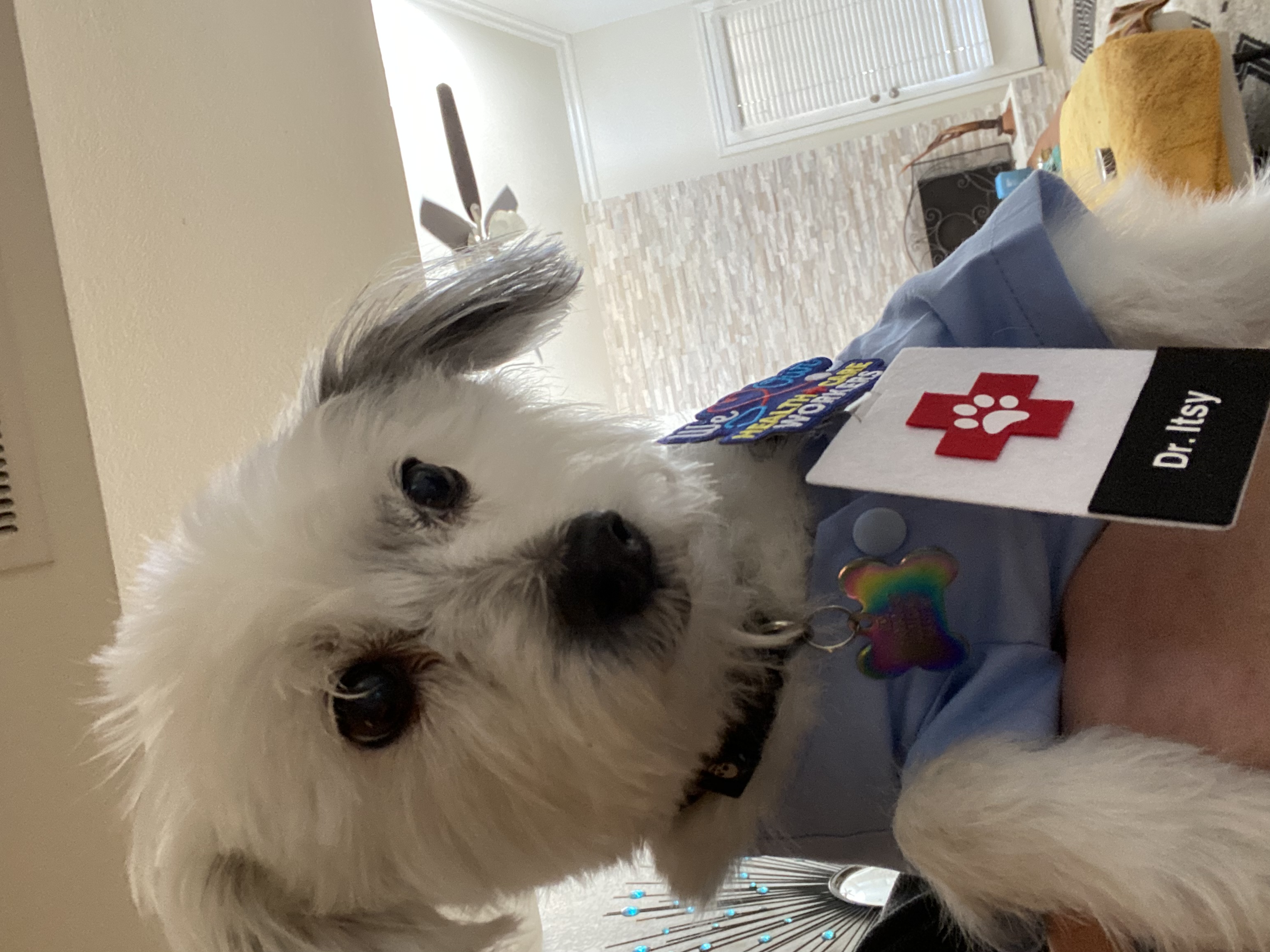 Life after transplant 