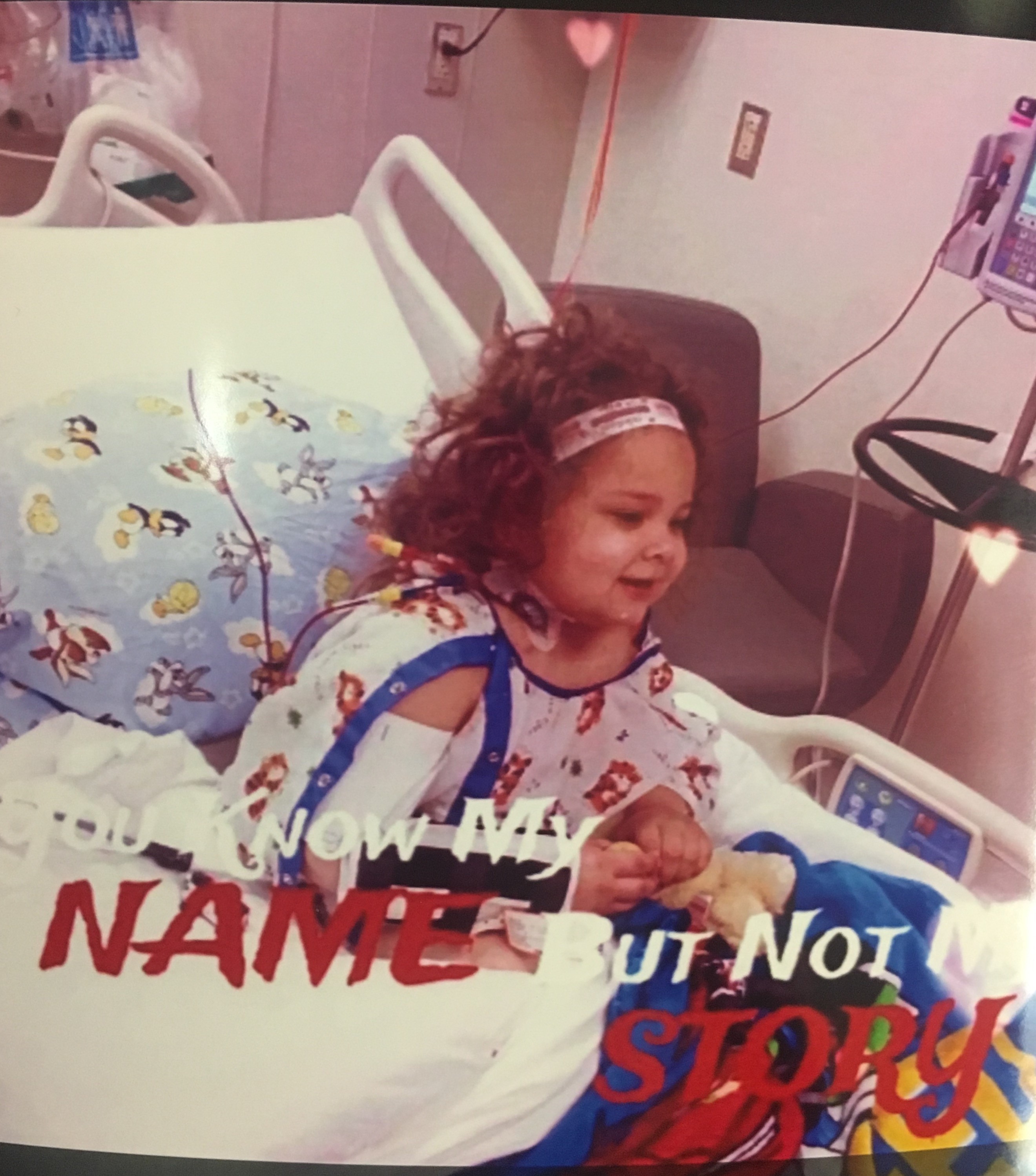 My Campaign Pictures