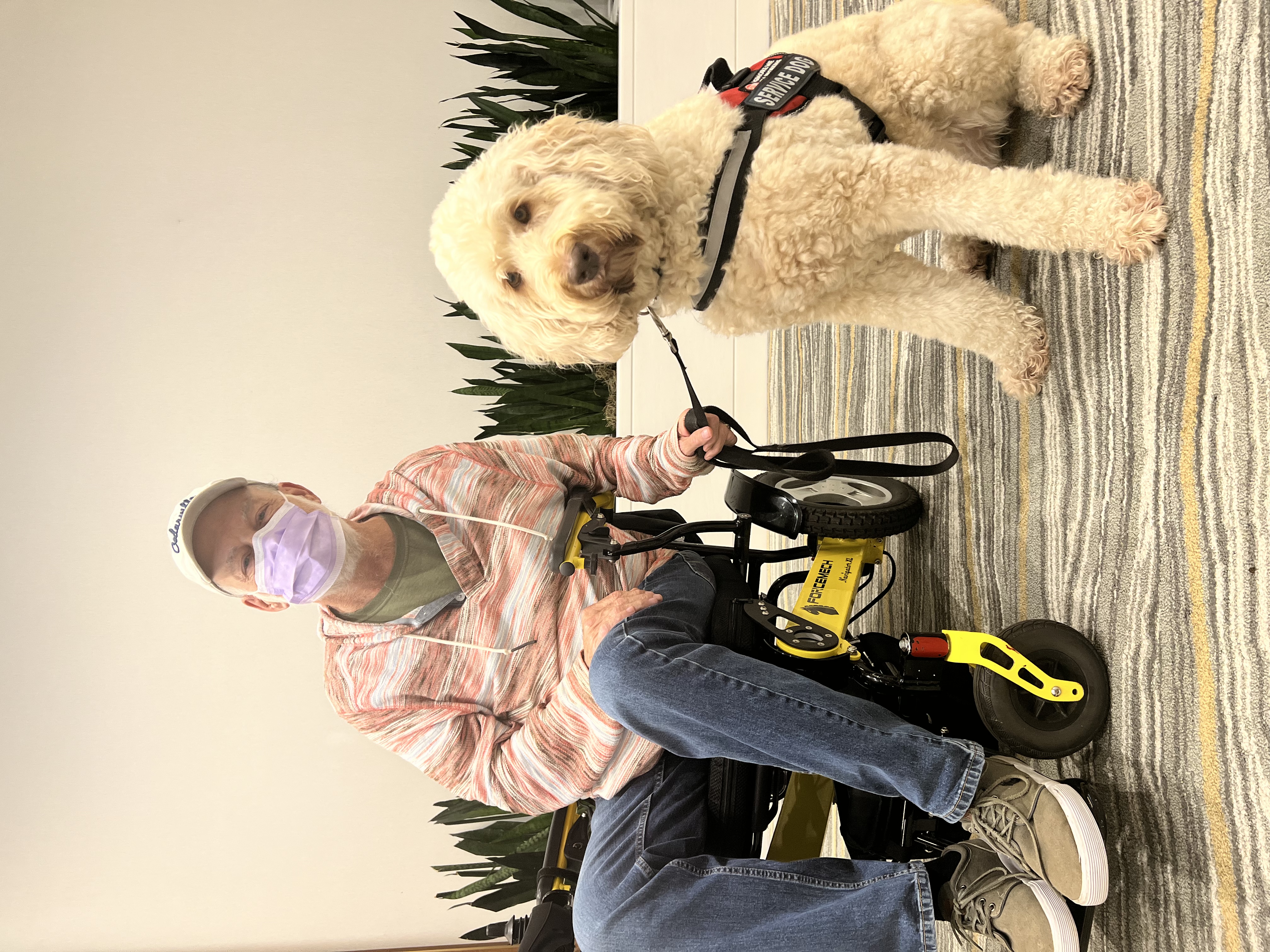 My Campaign Pictures