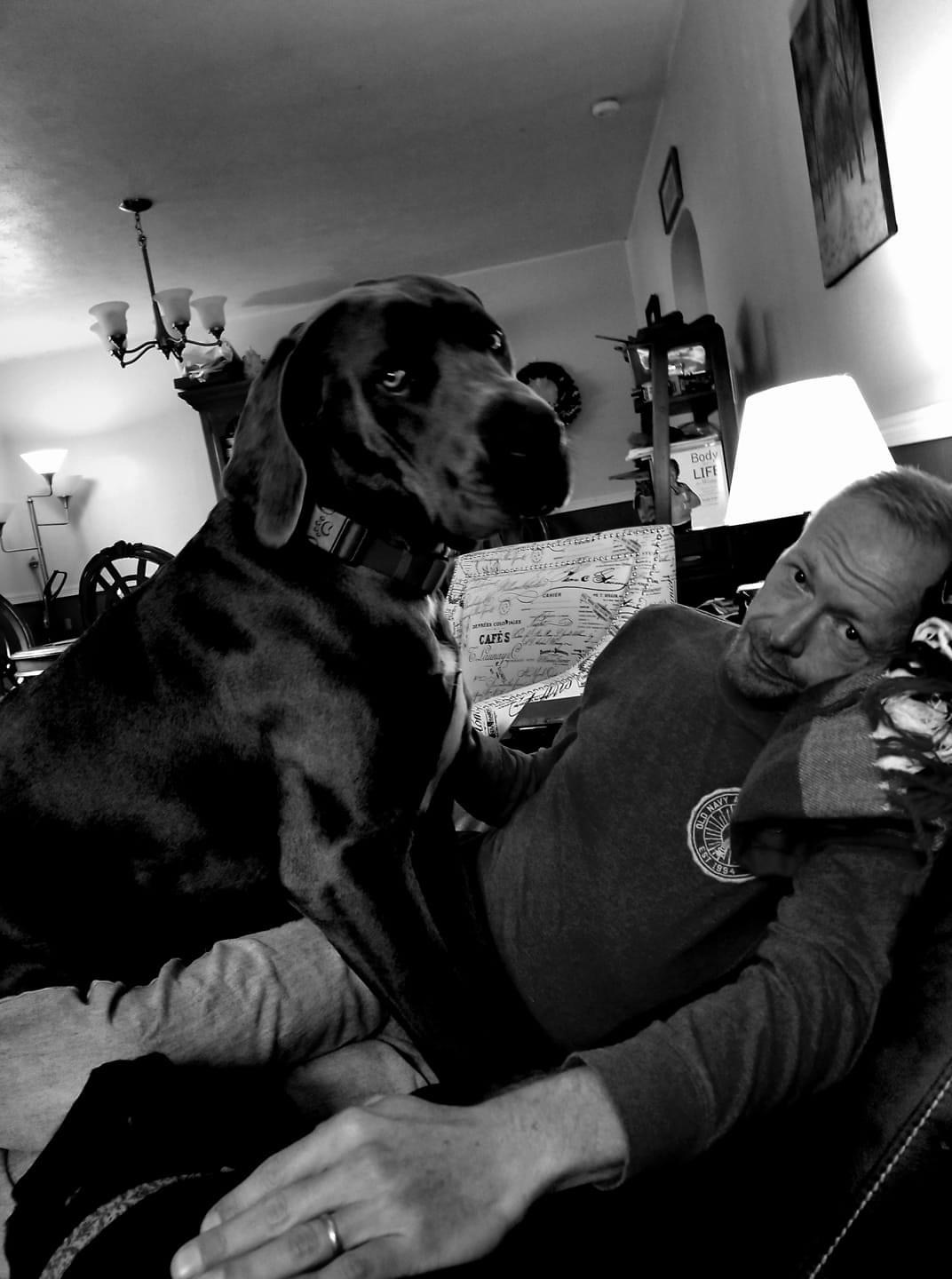 My Campaign Pictures